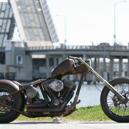 Brown Pearl