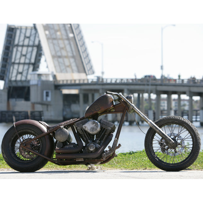 Brown Pearl
